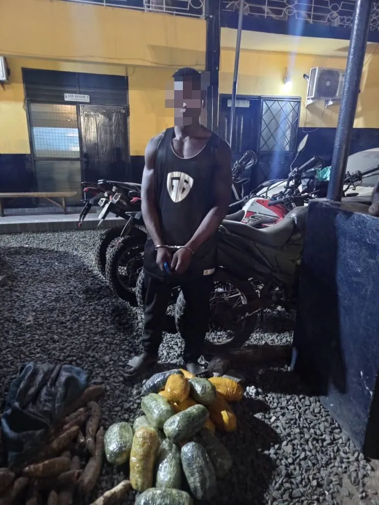 Police arrest man in Ashaiman over 18 slabs of Indian Hemp