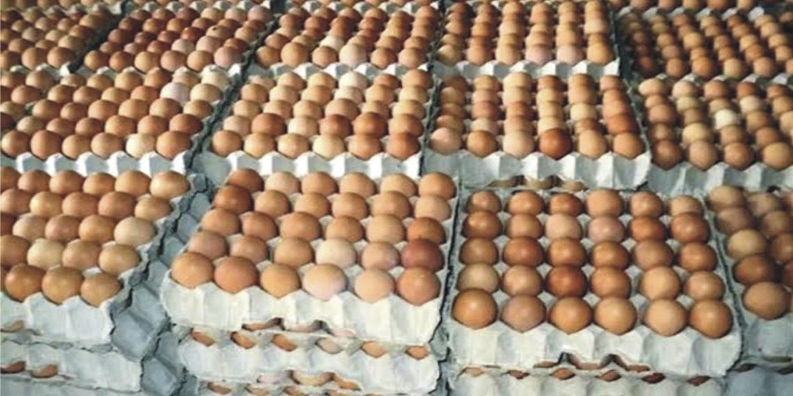 Chinese expansion in poultry market fueling egg glut – Farmers Warn