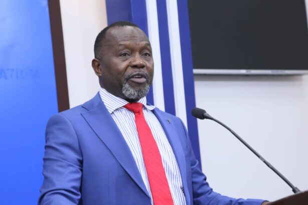 Focus on Mahama’s reset agenda not his successor—Ayine to NDC members