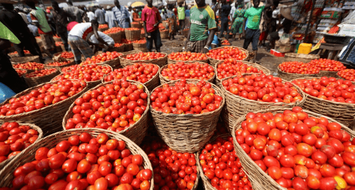 Burkina Faso ban exposes Ghana’s tomato production weaknesses – FABAG