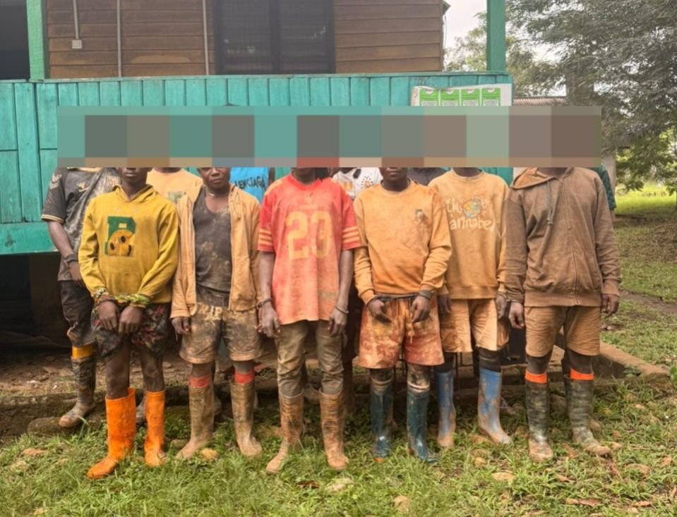 Forestry Commission taskforce arrests illegal miners in Atewa Forest Reserve
