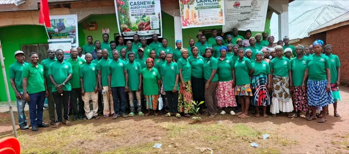 ‎Cashew farmers trained in beekeeping to diversify means of livelihood