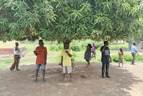 Under the mango tree: The struggle for mobile connectivity in Chakori
