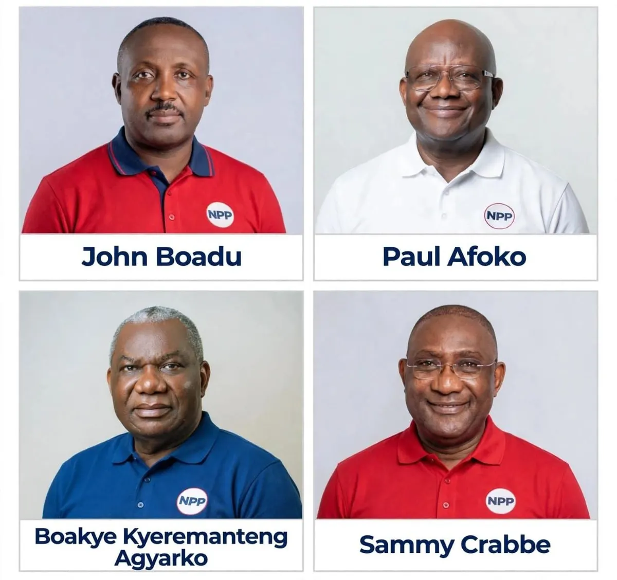 NPP Chairmanship race: 'Tale of the tape'